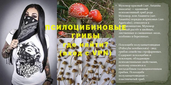 твердый Верхний Тагил