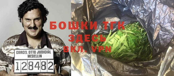твердый Верхний Тагил