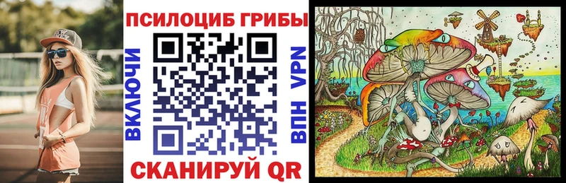 Галлюциногенные грибы Psilocybine cubensis  Курск 